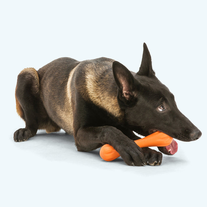 West Paw Hurley Dog Toy