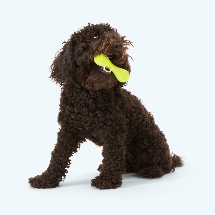 West Paw Hurley Dog Toy