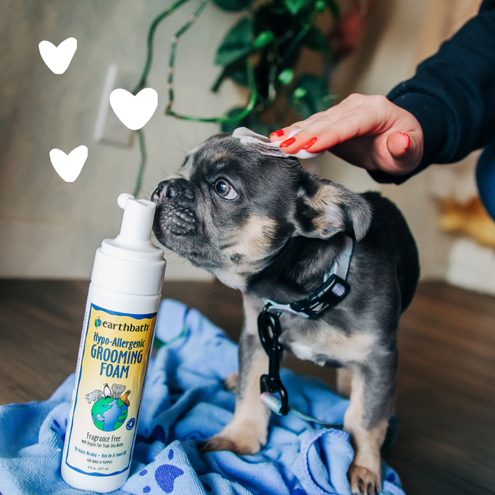 Earthbath Waterless Grooming Foam for Dogs & Puppies, Fragrance Free 8oz