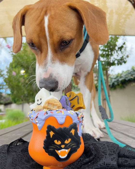 Naked Beasts Butterfly Pea Flower Powder (Organic)