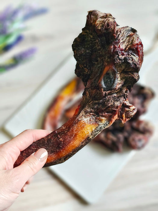 Naked Beasts Beef Pizzle (Sticks, Loops, Short,