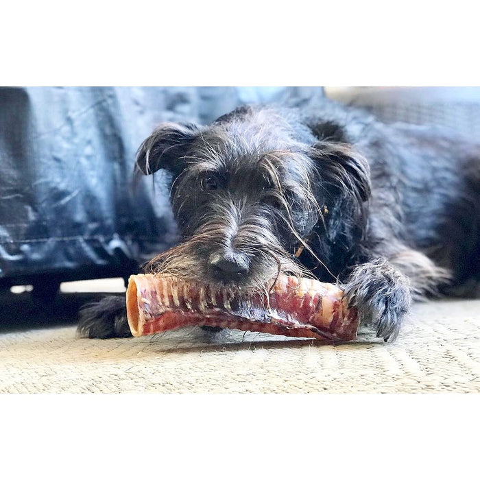 Naked Beasts Beef Trachea (Grass Fed & Finished)