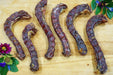Naked Beasts Duck Necks - 5 - Image 10