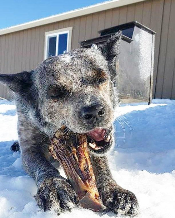 Naked Beasts Lamb Shank (GFF & Pasture Raised)