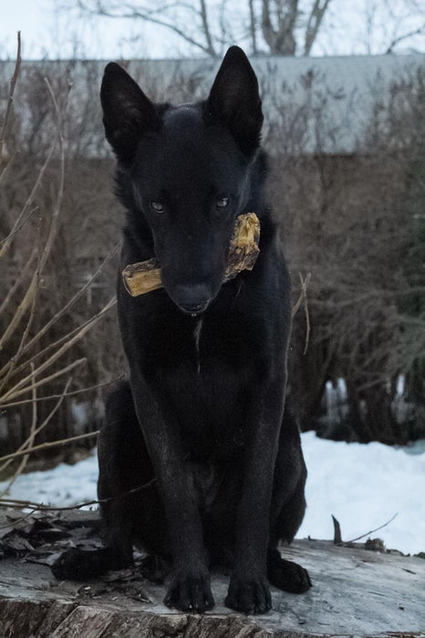 Naked Beasts Lamb Shank (GFF & Pasture Raised)