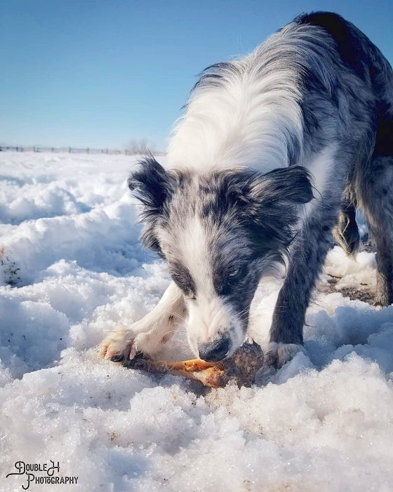 Naked Beasts Lamb Shank (GFF & Pasture Raised)