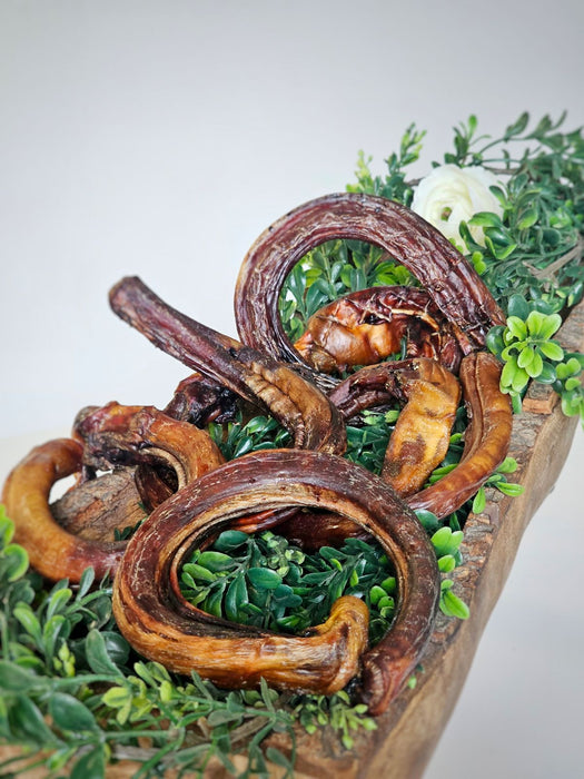 Naked Beasts Beef Pizzle (Sticks, Loops, Short,