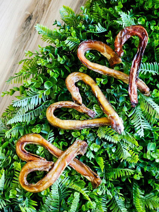 Naked Beasts Beef Pizzle (Sticks, Loops, Short,