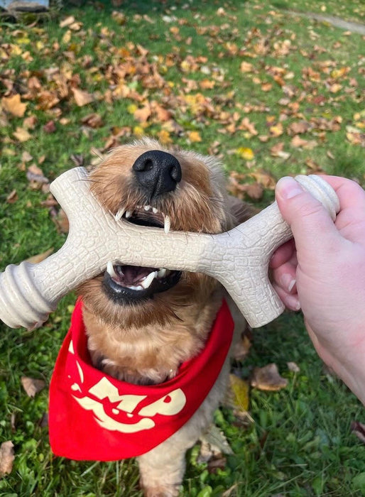 ShopYomp Barkin' Bone - 5 - Image 8