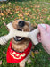 ShopYomp Barkin' Bone - 5 - Image 8
