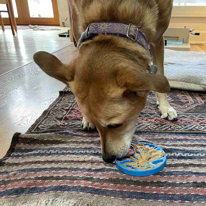 SodaPup Air Nylon eCoin Durable Enrichment Snacking Coin