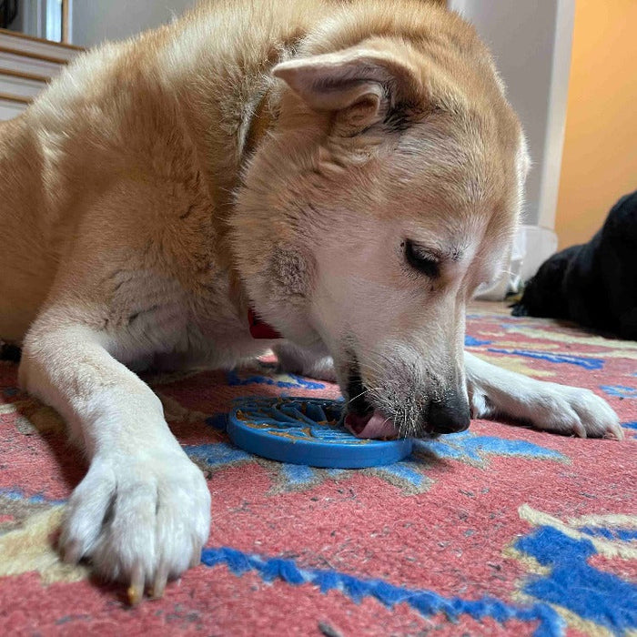 SodaPup Air Nylon eCoin Durable Enrichment Snacking Coin