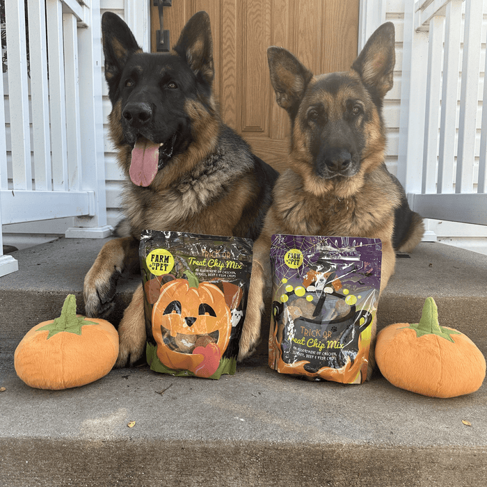 Farm To Pet Trick or Treat Chip Mix Halloween Dog Treats