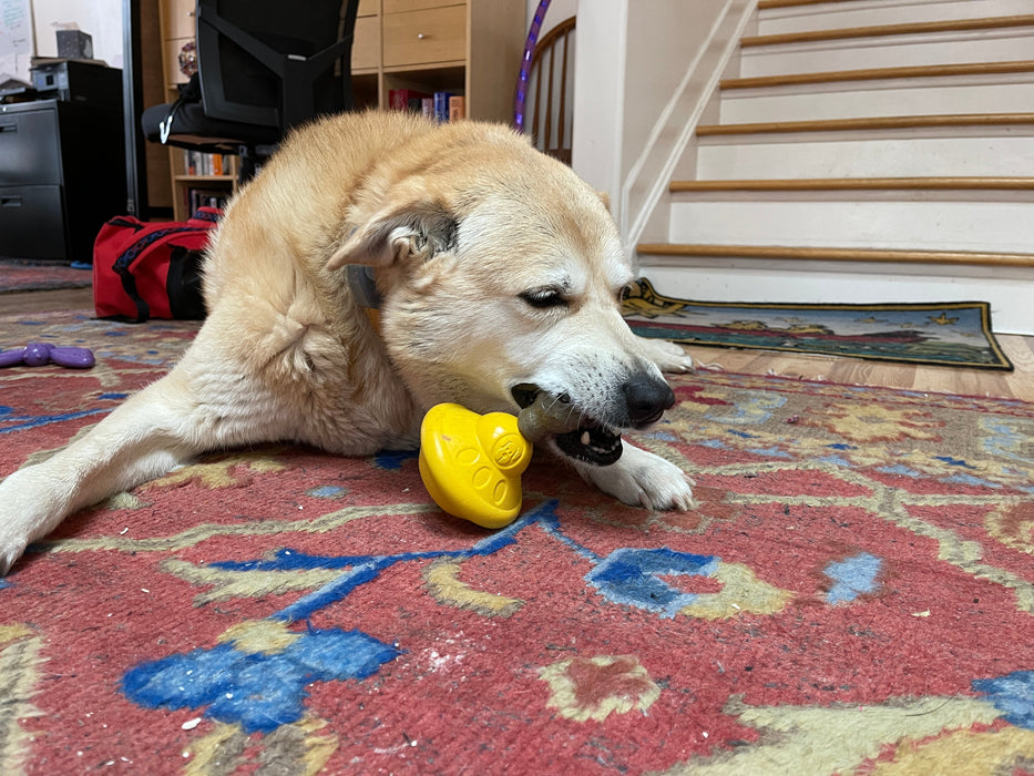 SodaPup Unstoppables Chewers for SodaPup Rubber Treat Dispensers - 3 Pack