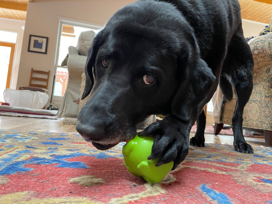 SodaPup Unstoppables Chewers for SodaPup Rubber Treat Dispensers - 3 Pack