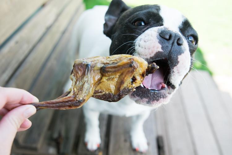 Naked Beasts Whole Quails (Bone-In)