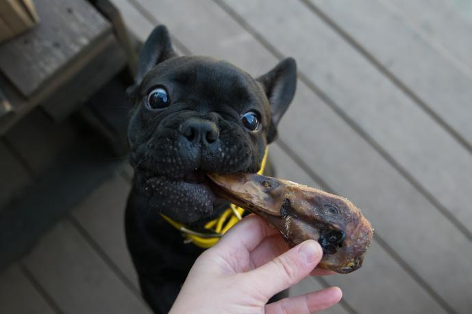 Naked Beasts Duck Heads (ABF)