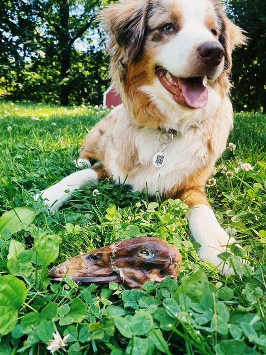 Naked Beasts Duck Heads (ABF)