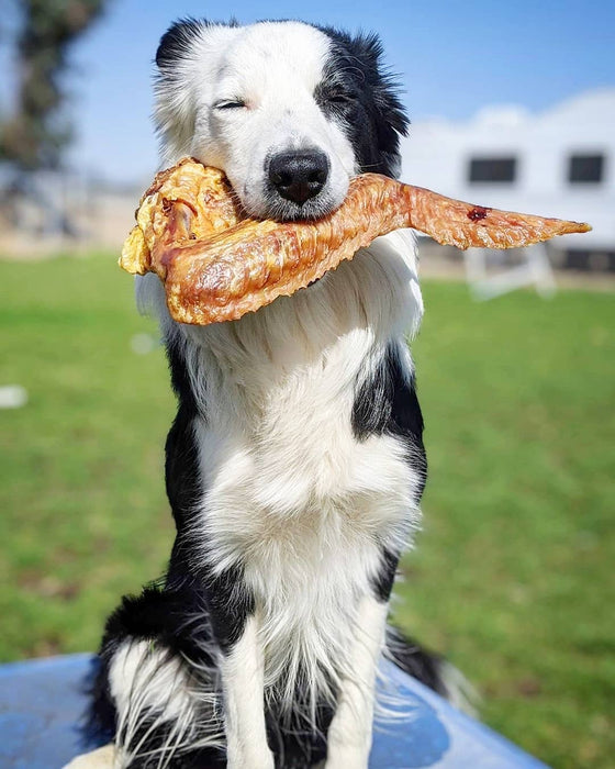 Naked Beasts Turkey Wing