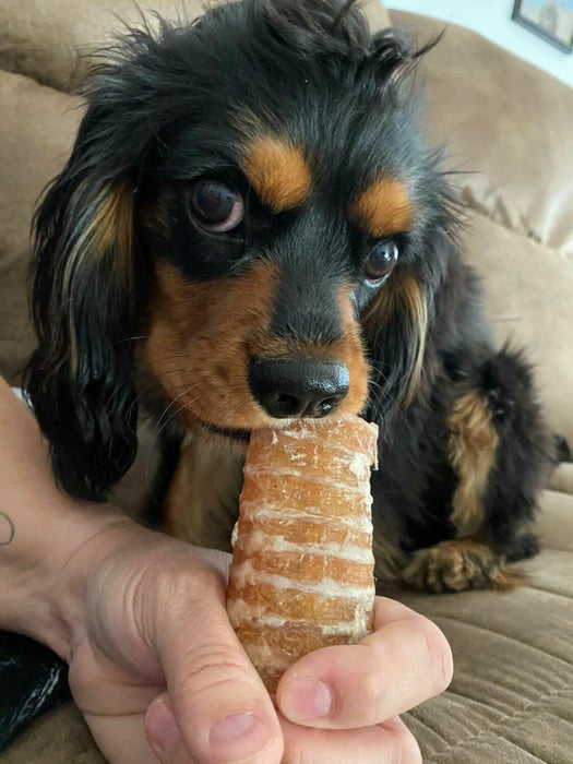 Naked Beasts Beef Trachea (Grass Fed & Finished)