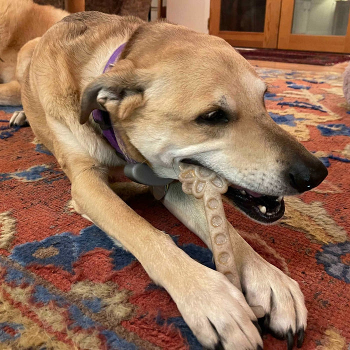 SodaPup Flower Tower eChew Durable Nylon Chew and Enrichment Toy