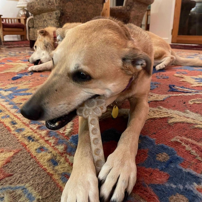 SodaPup Flower Tower eChew Durable Nylon Chew and Enrichment Toy