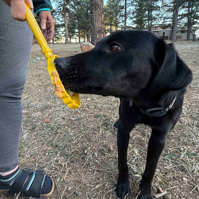 SodaPup Lick Stick Hand-Held Interactive Enrichment Toys