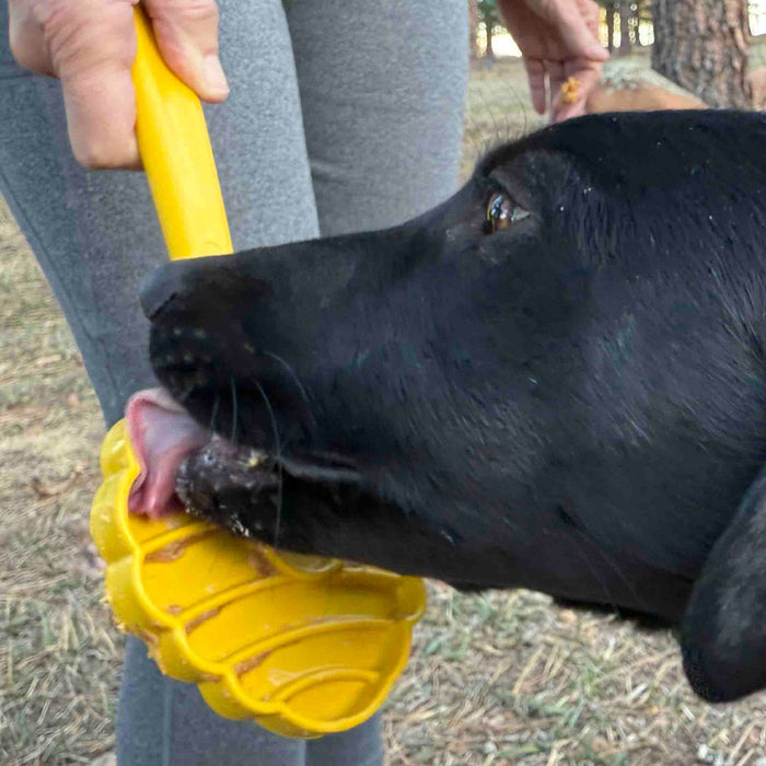 SodaPup Lick Stick Hand-Held Interactive Enrichment Toys