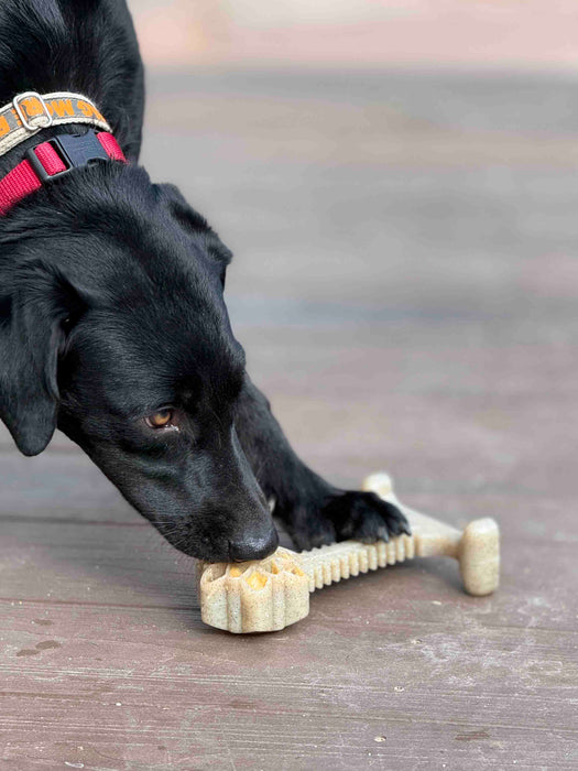 SodaPup Honey Bone Dental Flower Tower eChew Ultra Durable Nylon Dog Chew Toy - XL