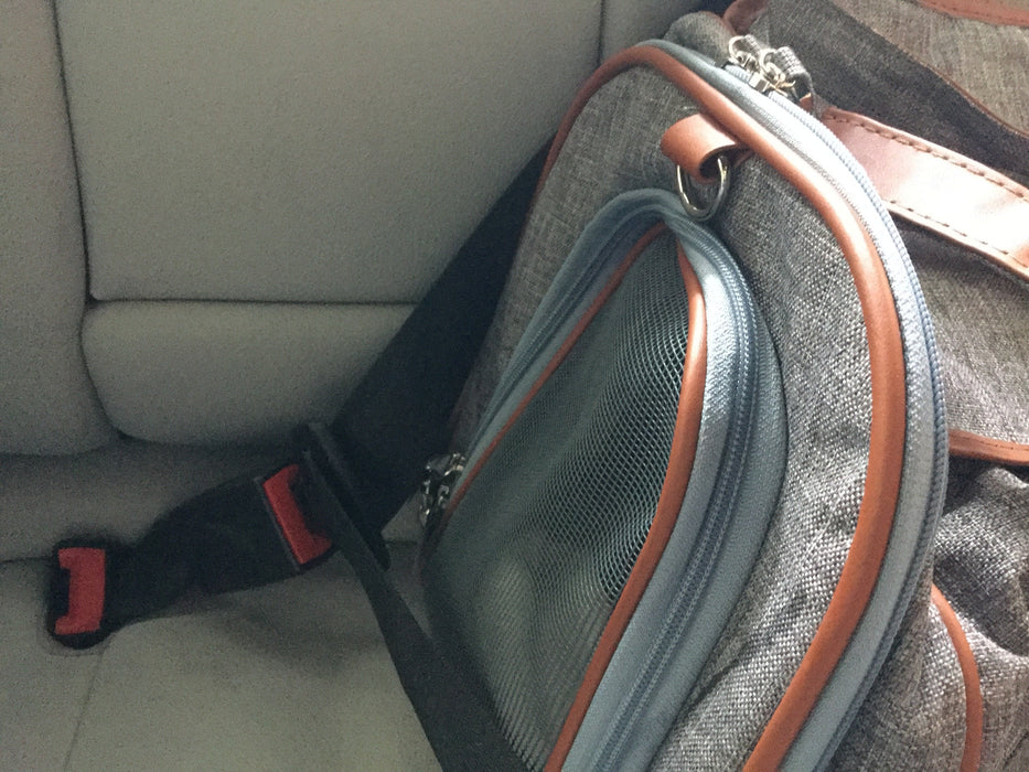 Mr. Peanut's Gold Series Big Apple XL Size Double Expandable Pet Carrier