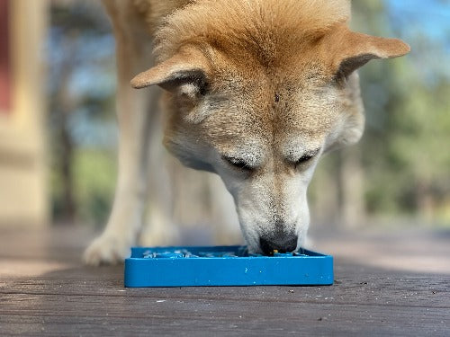SodaPup Waiting Dogs Design eTray Enrichment Tray for Dogs