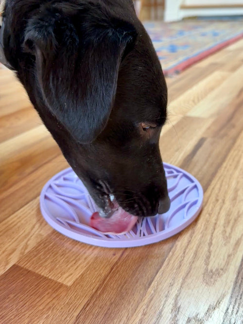SodaPup Tulip Design eMat Enrichment Lick Mat With Suction Cups