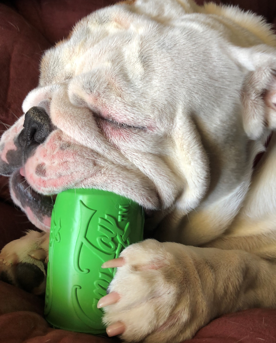 SodaPup Can Toy eDispenser Durable Rubber Chew Toy & Treat Dispenser - Average Chewer