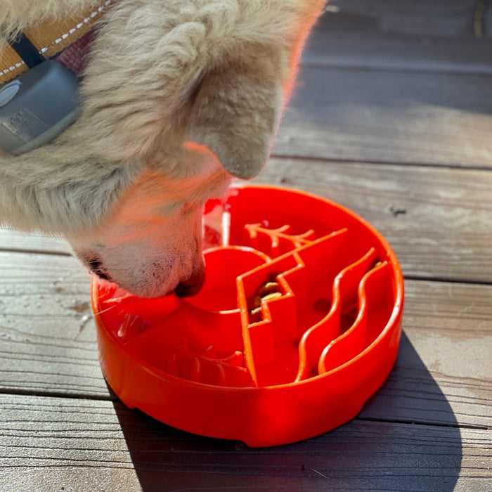 SodaPup Great Outdoors Design eBowl Enrichment Slow Feeder Bowl for Dogs