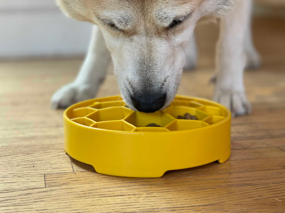SodaPup Honeycomb Design eBowl Enrichment Slow Feeder Bowl for Dogs