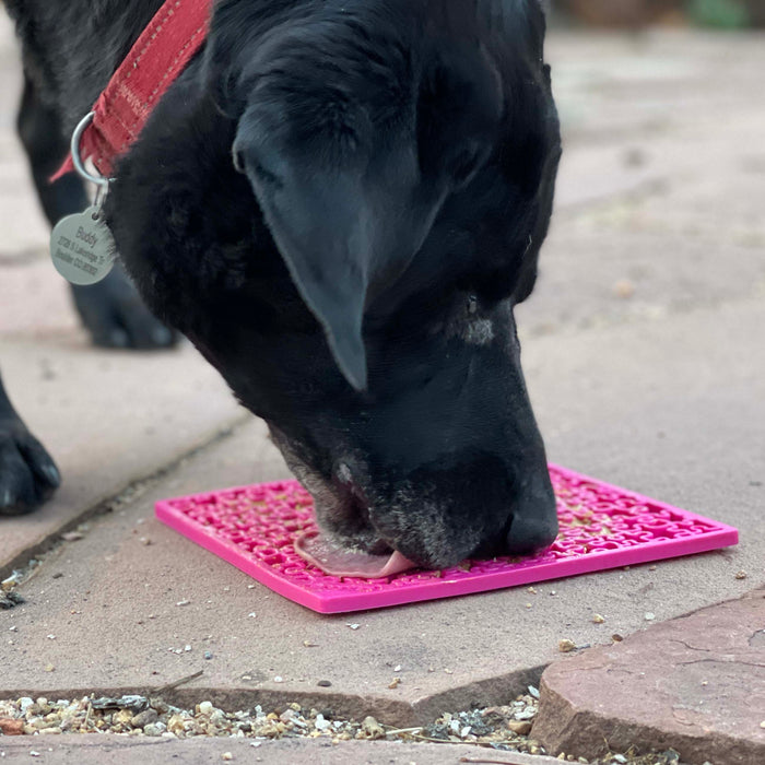 SodaPup Jigsaw Design eMat Enrichment Lick Mat