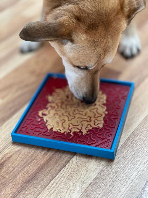 SodaPup Hold 'em Suction Cup Holder for eBowls, eTrays, and eMats