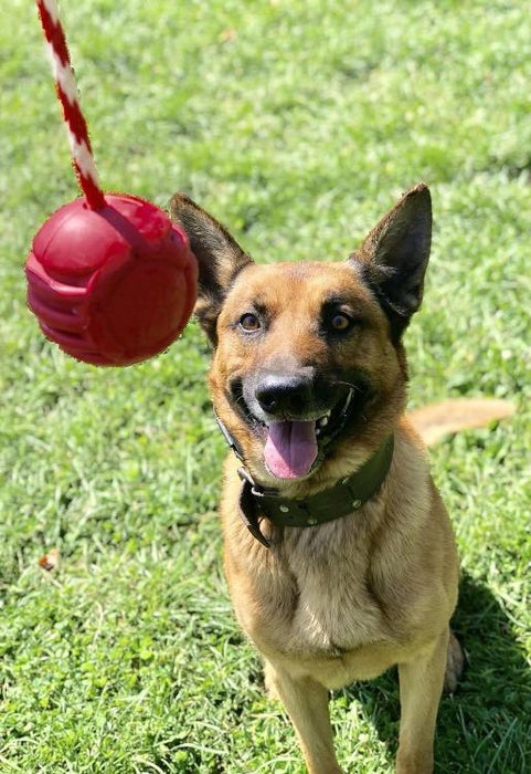 SodaPup USA-K9 Stars and Stripes Ultra-Durable Rubber Chew Ball