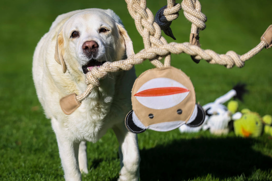 HuggleHoundsStuey Sock Monkey Natural Rope Knottie® Dog Toy, Large (9mm Rope Diameter)