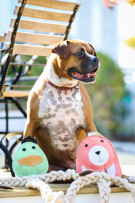 HuggleHounds Dilly Duck Natural Rope Knottie® Dog Toy, Large (9mm Diameter)