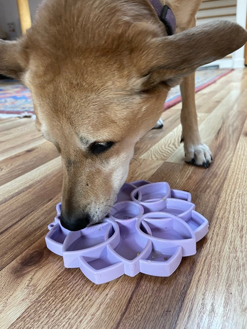 SodaPup Mandala Softie eTray Enrichment Shallow Slow Feeder Dog Bowl with Suction Cups