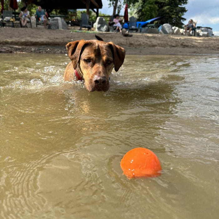 SodaPup Squeak Ball Ultra Durable PUP-X Squeaking, Chewing, Floating & Retrieving Ball