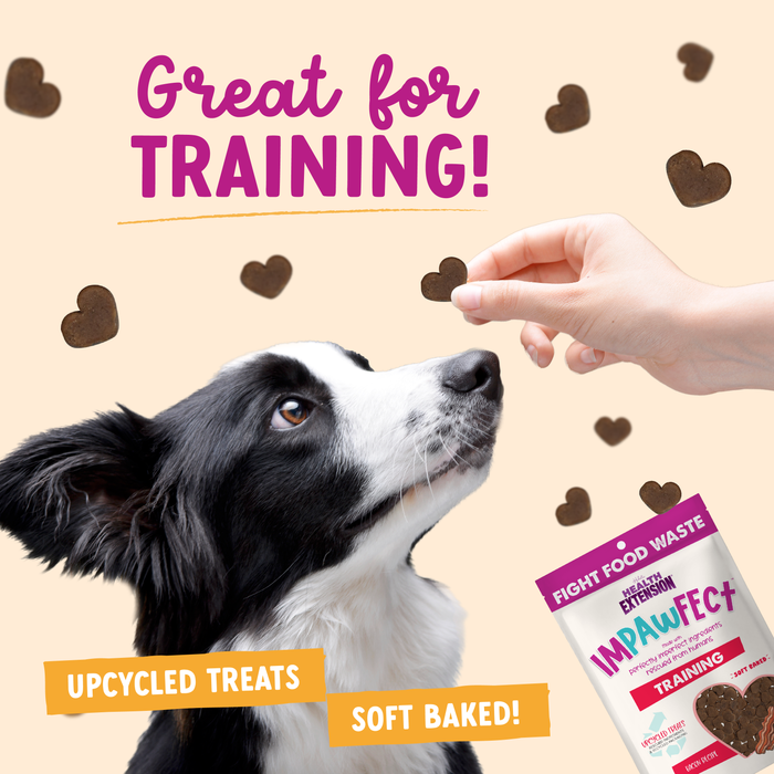 Health Extension Impawfect Bacon Training Treats - 3 - Image 9