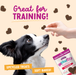 Health Extension Impawfect Bacon Training Treats - 3 - Image 9