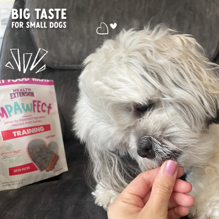 Health Extension Impawfect Bacon Training Treats - 6 - Image 9