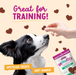 Health Extension Impawfect Cran-Apple Training Treats - 3 - Image 9
