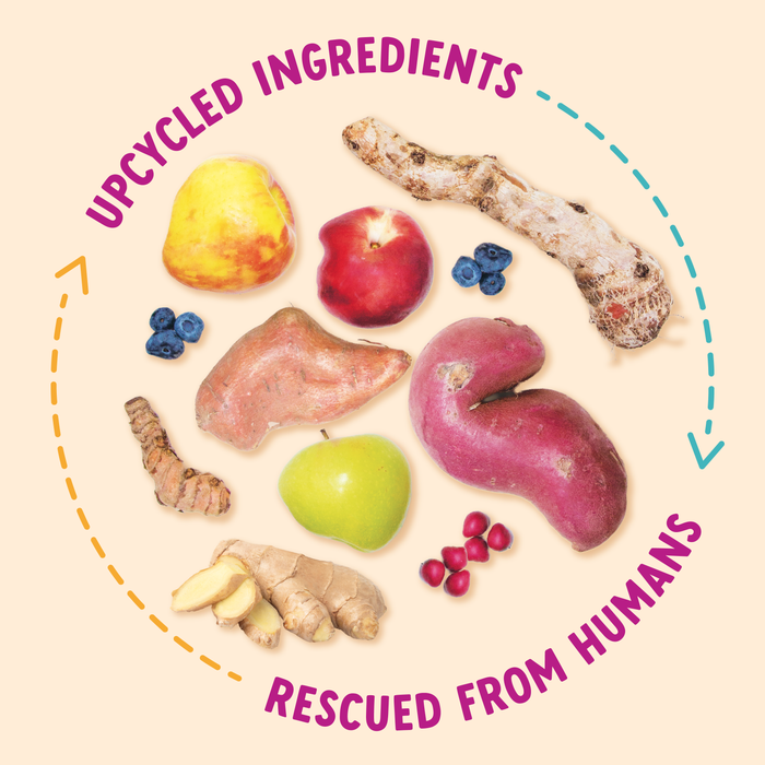 Health Extension Impawfect Cran-Apple Training Treats - 5 - Image 9