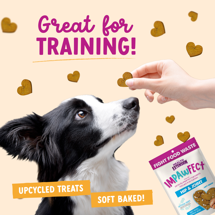 Health Extension Impawfect Sweet Potato & Turmeric for Hip & Joint Support - 3 - Image 9