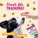 Health Extension Impawfect Sweet Potato & Turmeric for Hip & Joint Support - 3 - Image 9