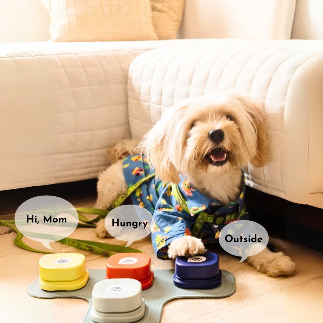 Shop Wiz Basics Recordable Training Buttons for Dogs (Set of 4 With Mat ...